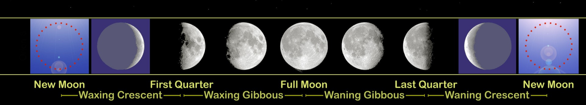 Újra itt a telihold! 