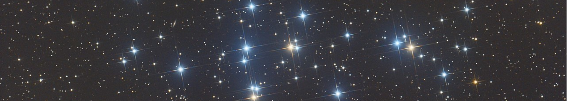 Márciusi észlelési ajánló, avagy a 10 hetes méhkas