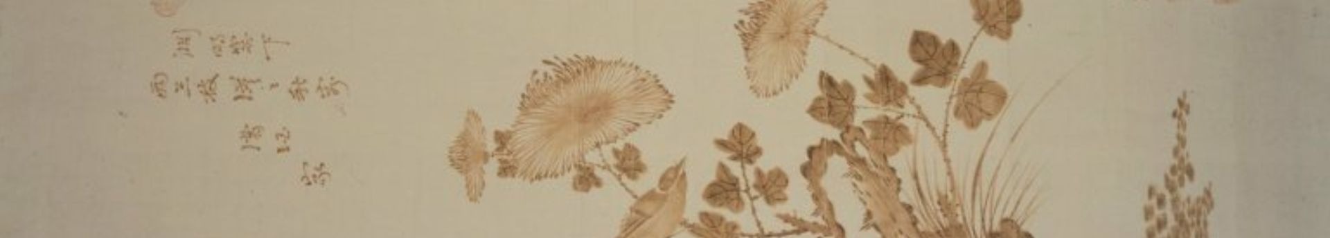 Kezdődik a csillagászati ősz