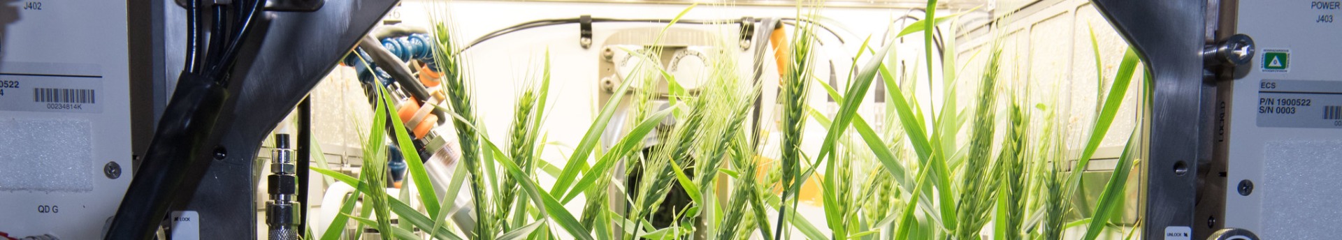 MAGYAR ŰRPAPRIKÁT FOGYASZTHATNAK A JÖVŐ ŰRHAJÓSAI