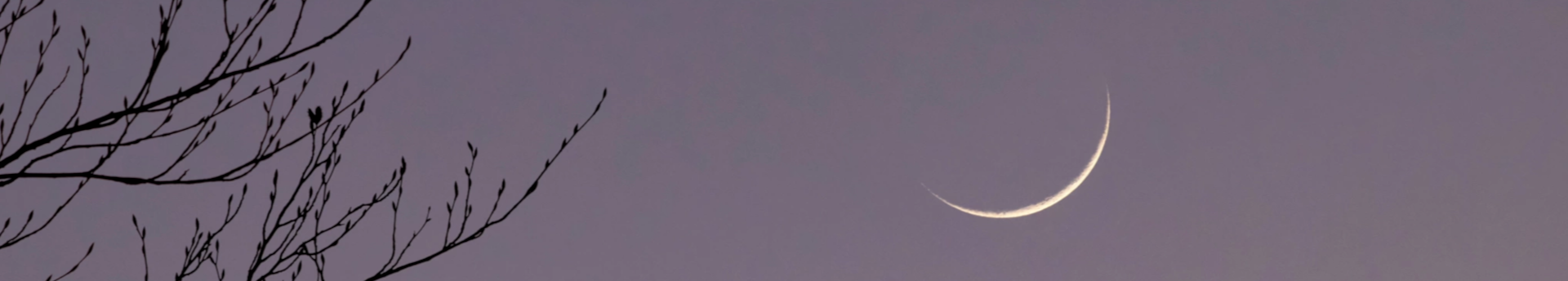 Holdsarló-észlelési rekordkísérlet, lemaradóknak másnapi Fiastyúkkal