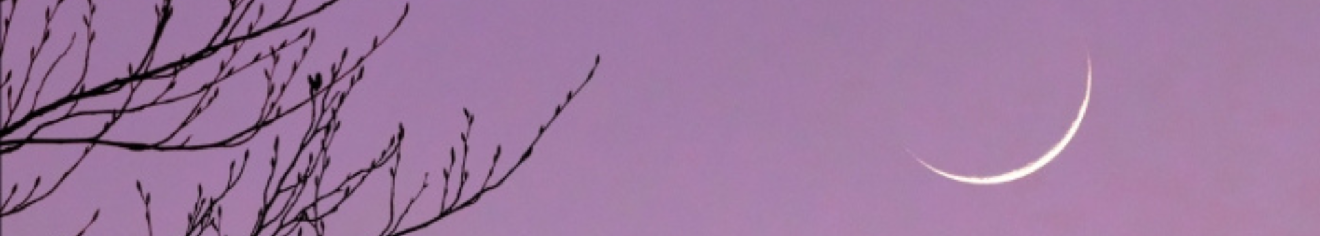 Pengevékony hajnali holdsarló