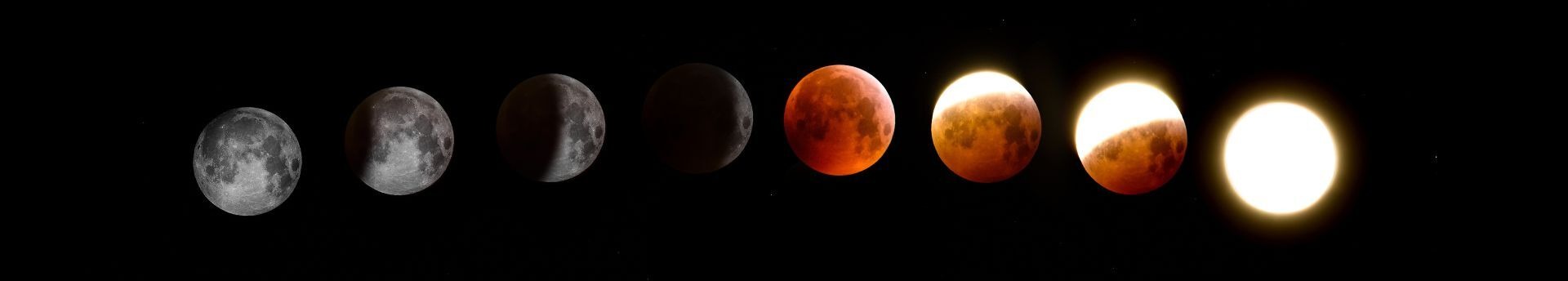 A Hold elfedi a Fiastyúkot