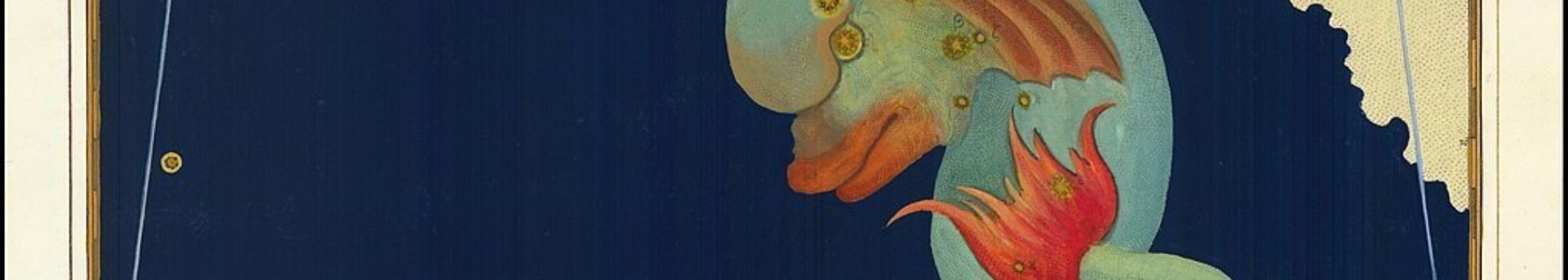 A nyári égbolton úszkáló Delfin – augusztusi csillagmese