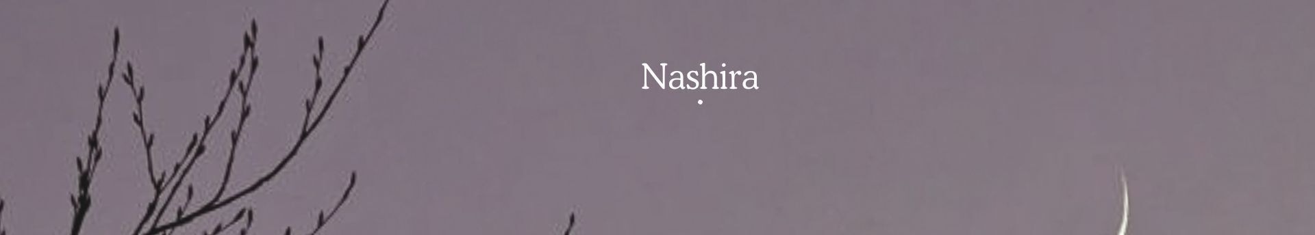 Extra vékony holdsarló fényes csillagok közelében