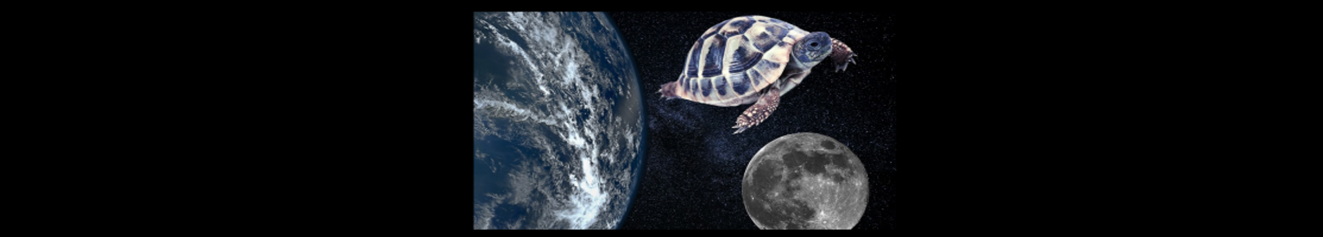 Első élőlények a Hold körül -- a két űrteknős és sorstársaik története 