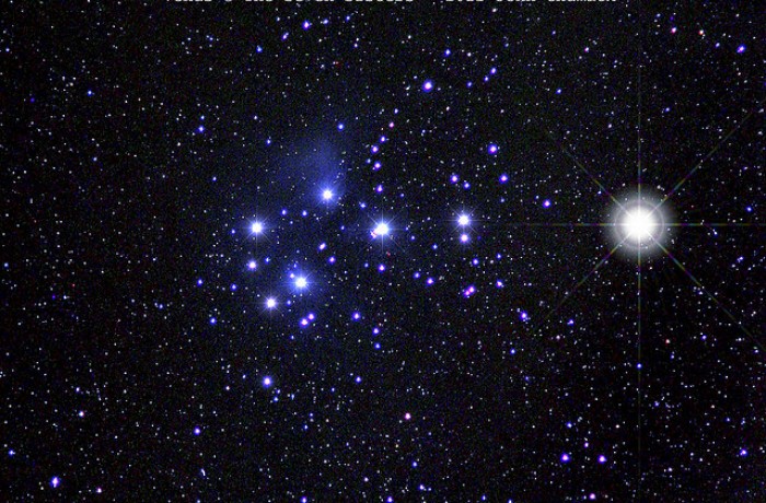 A nyolcadik csibe az égen