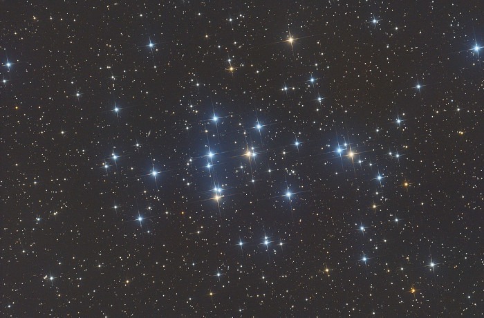 Márciusi észlelési ajánló, avagy a 10 hetes méhkas