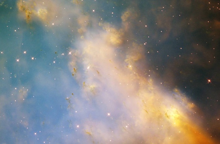 Szeptemberi róka rágta súlyzó