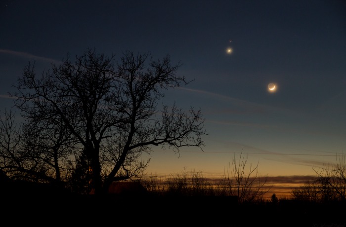 Hanyatló ötösfogat az Oroszlánban