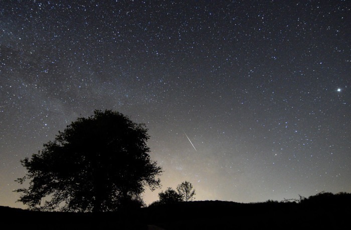 A Lant hullócsillagai érkeznek!