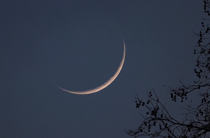 Minden, amit a korai holdsarlókról tudni érdemes