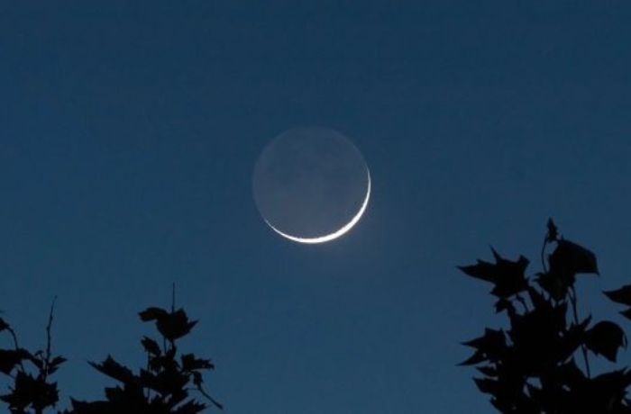 Teáskannában pihenő holdsarló