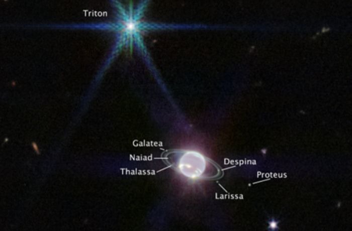 Oppozícióban a Neptunusz