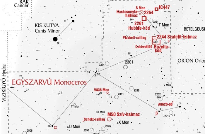 Az erdők mesés élőlénye: az Egyszarvú